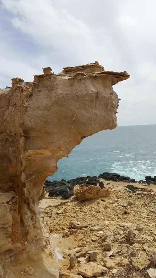 דירות פורטלאנד Georgia מראה חיצוני תמונה