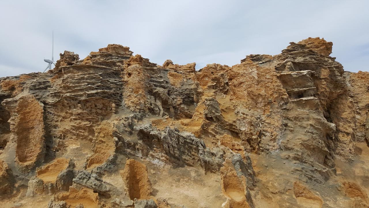 דירות פורטלאנד Georgia מראה חיצוני תמונה